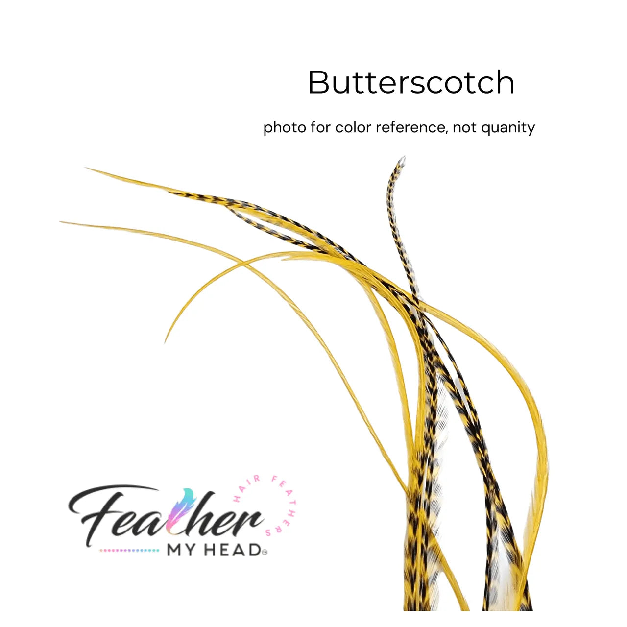 Butterscotch yellow - gold feather hair extension kit by Feather My Head hair feathers in long lengths you will love.