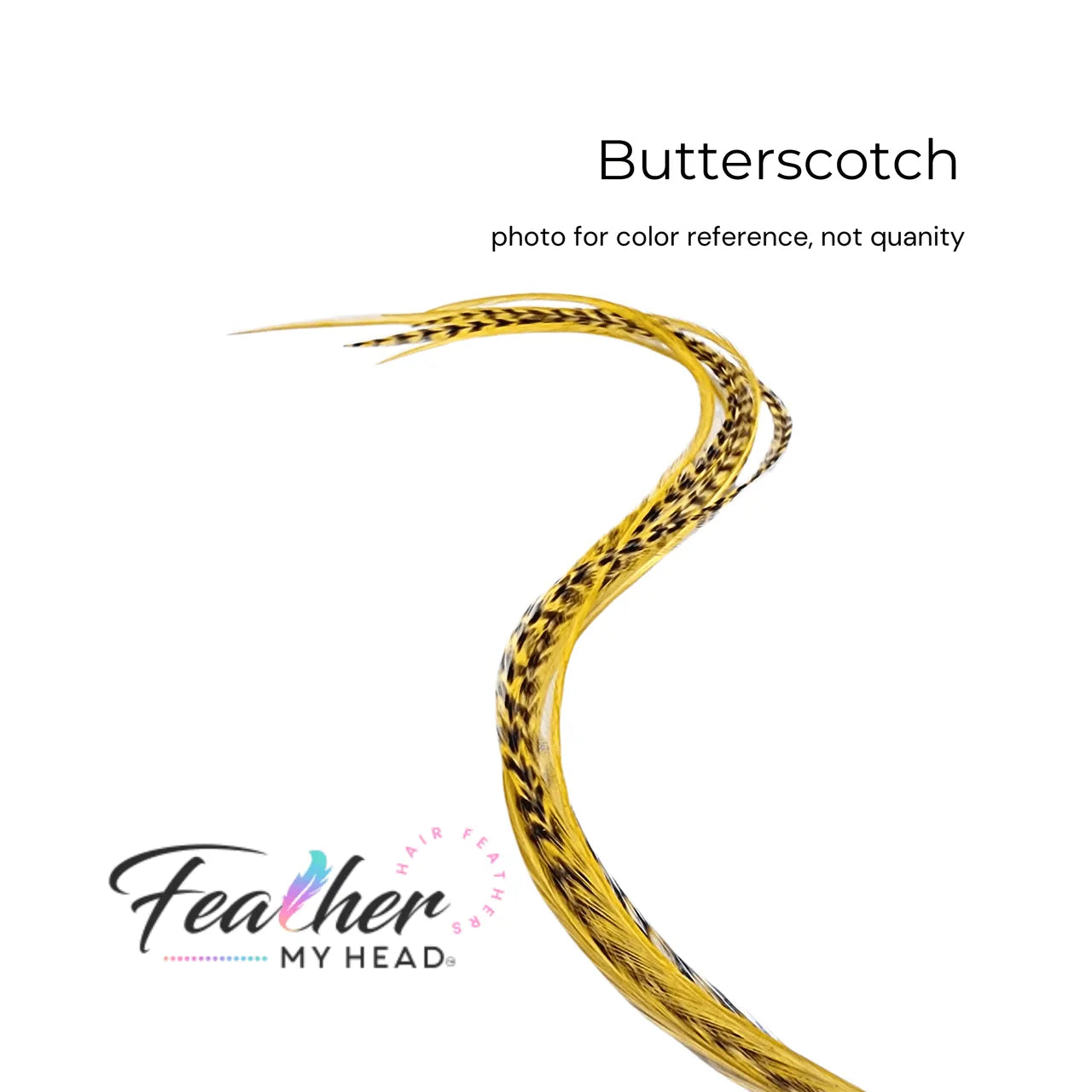 Butterscotch yellow - gold feather hair extension kit by Feather My Head hair feathers in long lengths you will love.