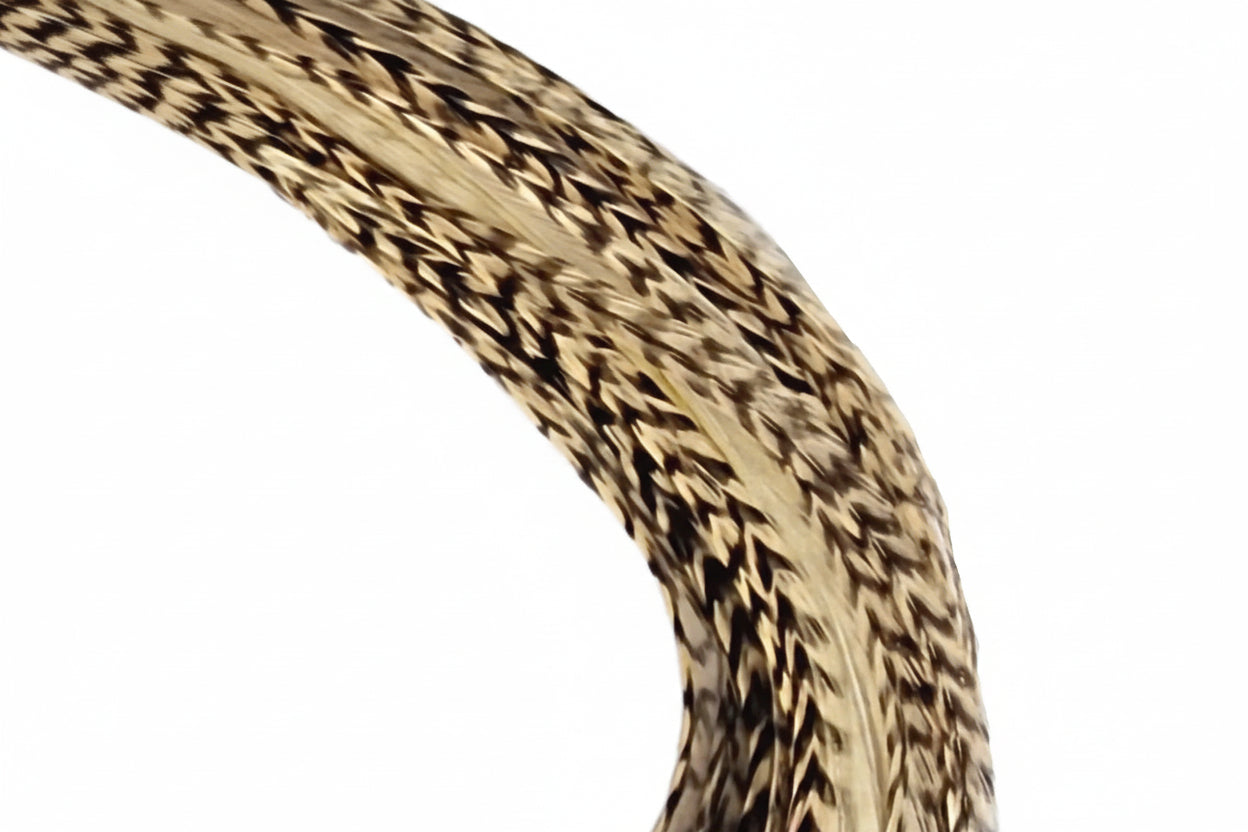 Feather My Head Hair Feathers in a light Champagne Color