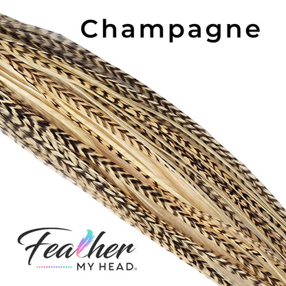 Feather My Head Hair Feathers in a light Champagne Color
