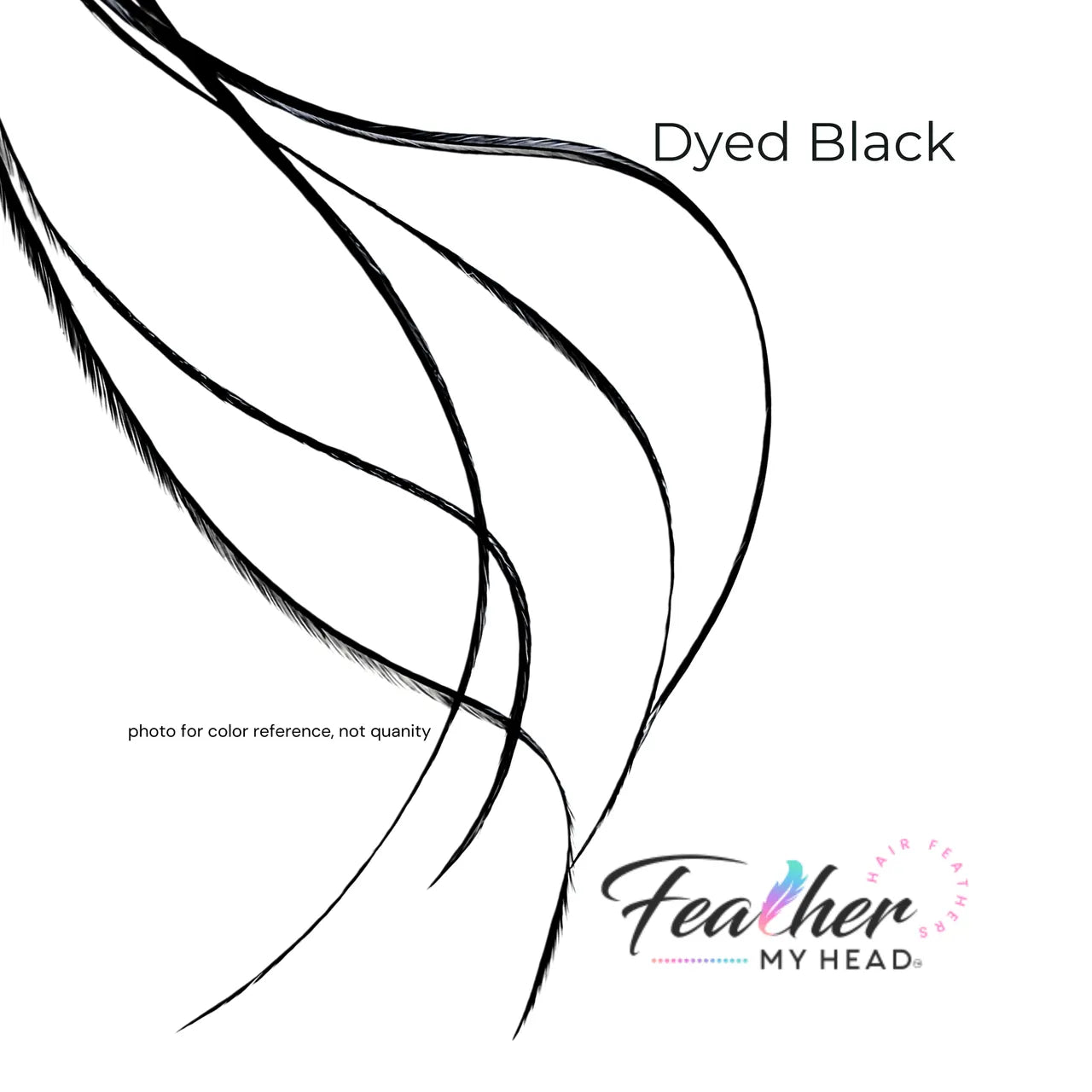 Black feather hair extension kit by feather my head in long lengths you will love