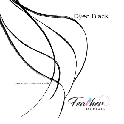 Black feather hair extension kit by feather my head in long lengths you will love