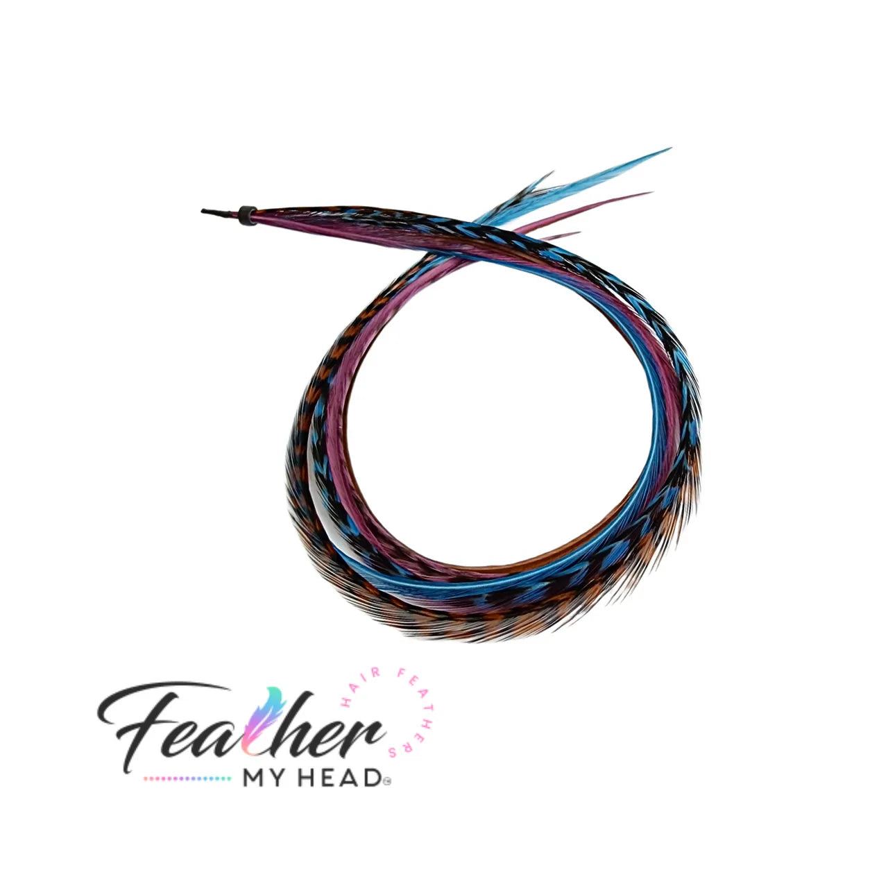 Feather Hair Extension Kit by Feather My Head. Mix of  Blue Feathers, Plum Purple Feathers, Brown Feathers.  Real hair feathers in long lengths. Halloween costume accessory