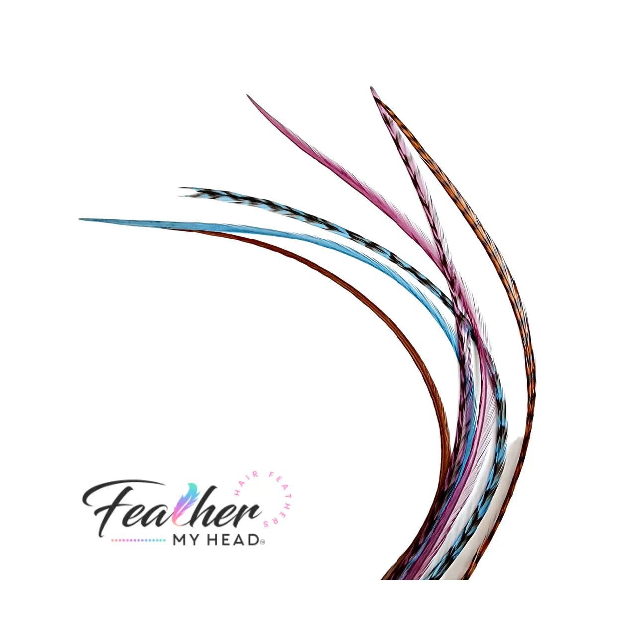 Feather Hair Extension Kit by Feather My Head. Mix of  Blue Feathers, Plum Purple Feathers, Brown Feathers.  Real hair feathers in long lengths. Halloween costume accessory