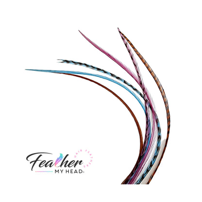 Feather Hair Extension Kit by Feather My Head. Mix of  Blue Feathers, Plum Purple Feathers, Brown Feathers.  Real hair feathers in long lengths. Halloween costume accessory