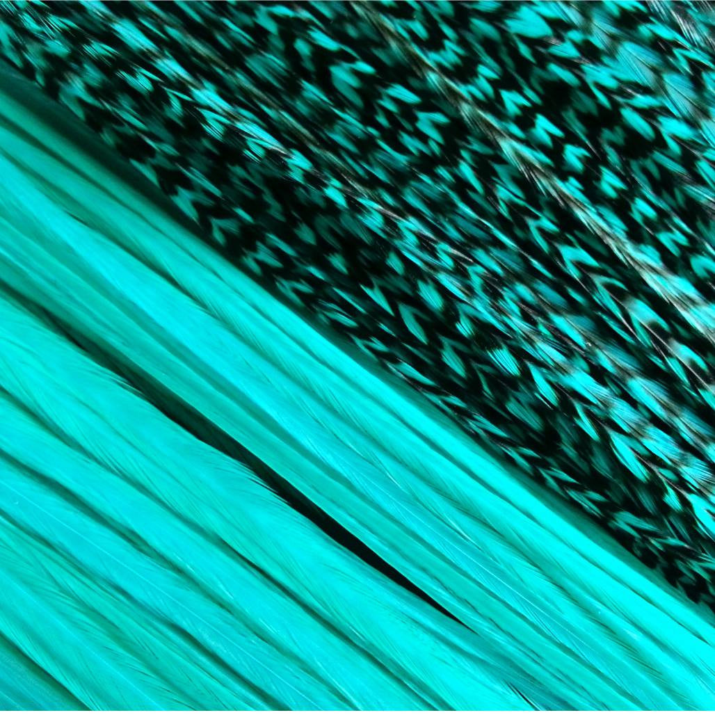 Hair Feather Extensions dyed a bright Bubble Aqua Blue Color. Create your own custom mix or custom order with our single hair feathers.