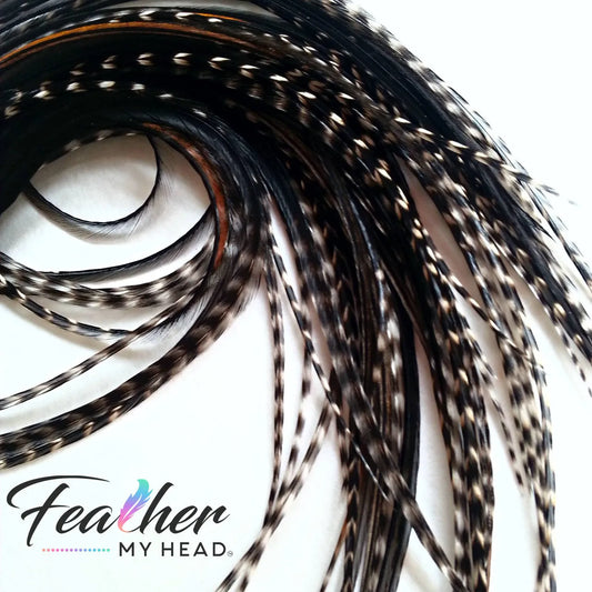 Black Variant Hair Feathers are natural feathers that will widely vary in color and markings on each feather. No two feathers will be the same. This color is used often in our natural mix collections. Color pairs well with other natural feathers for a soft natural look. 