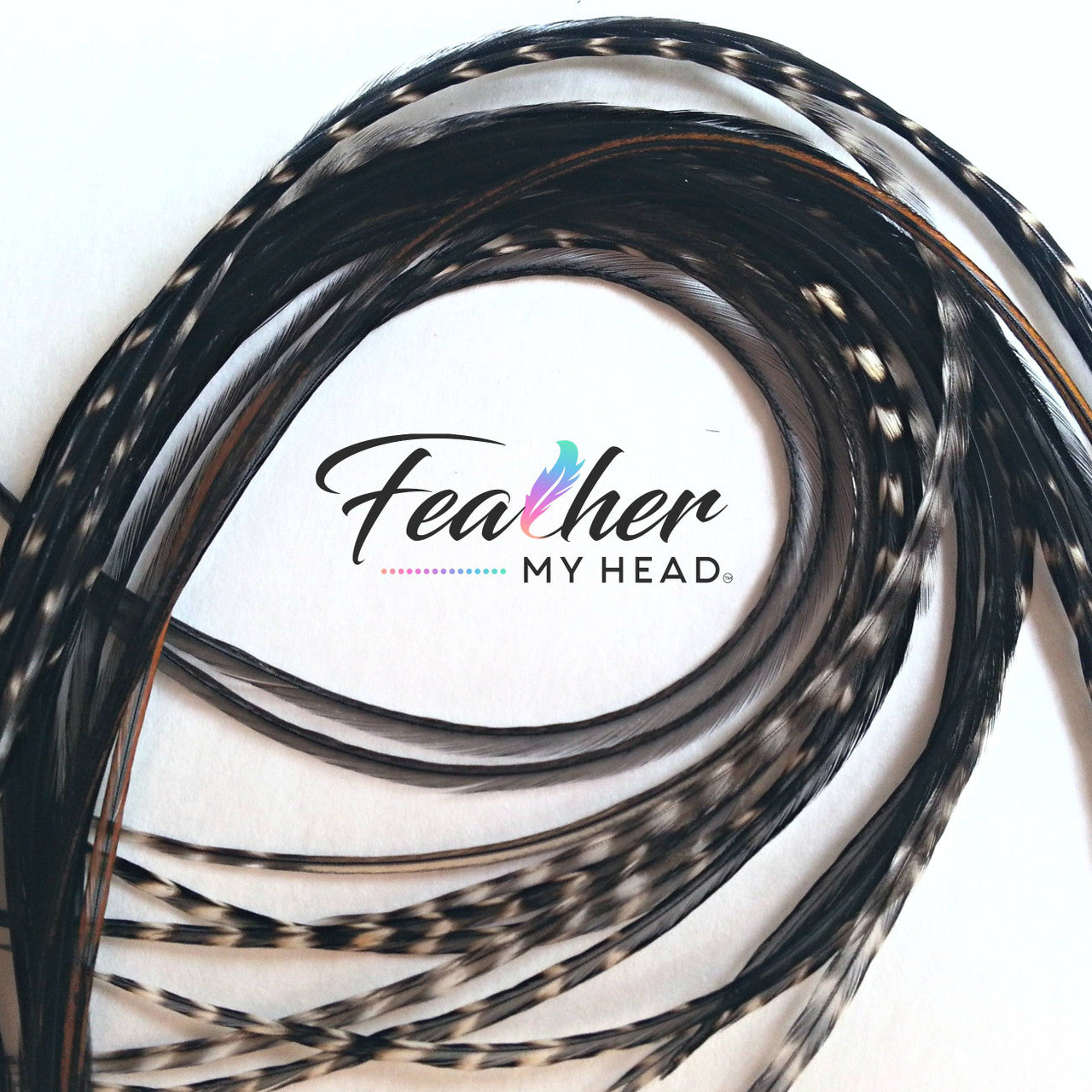Black Variant Hair Feathers are natural feathers that will widely vary in color and markings on each feather. No two feathers will be the same. This color is used often in our natural mix collections. Color pairs well with other natural feathers for a soft natural look. 
