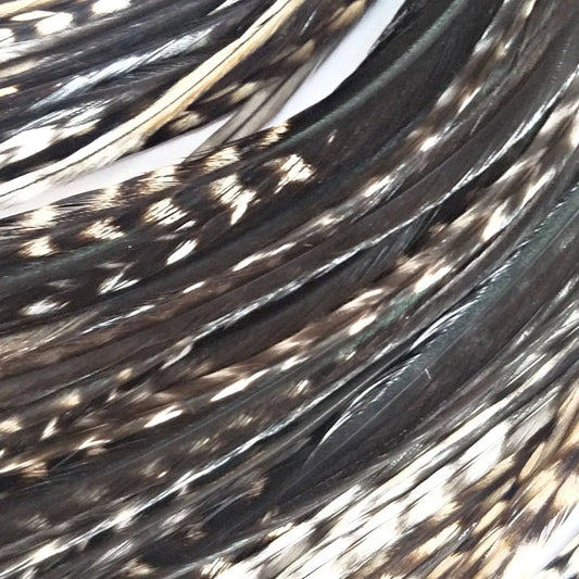 Black Variant Hair Feathers are natural feathers that will widely vary in color and markings on each feather. No two feathers will be the same. This color is used often in our natural mix collections. Color pairs well with other natural feathers for a soft natural look. 