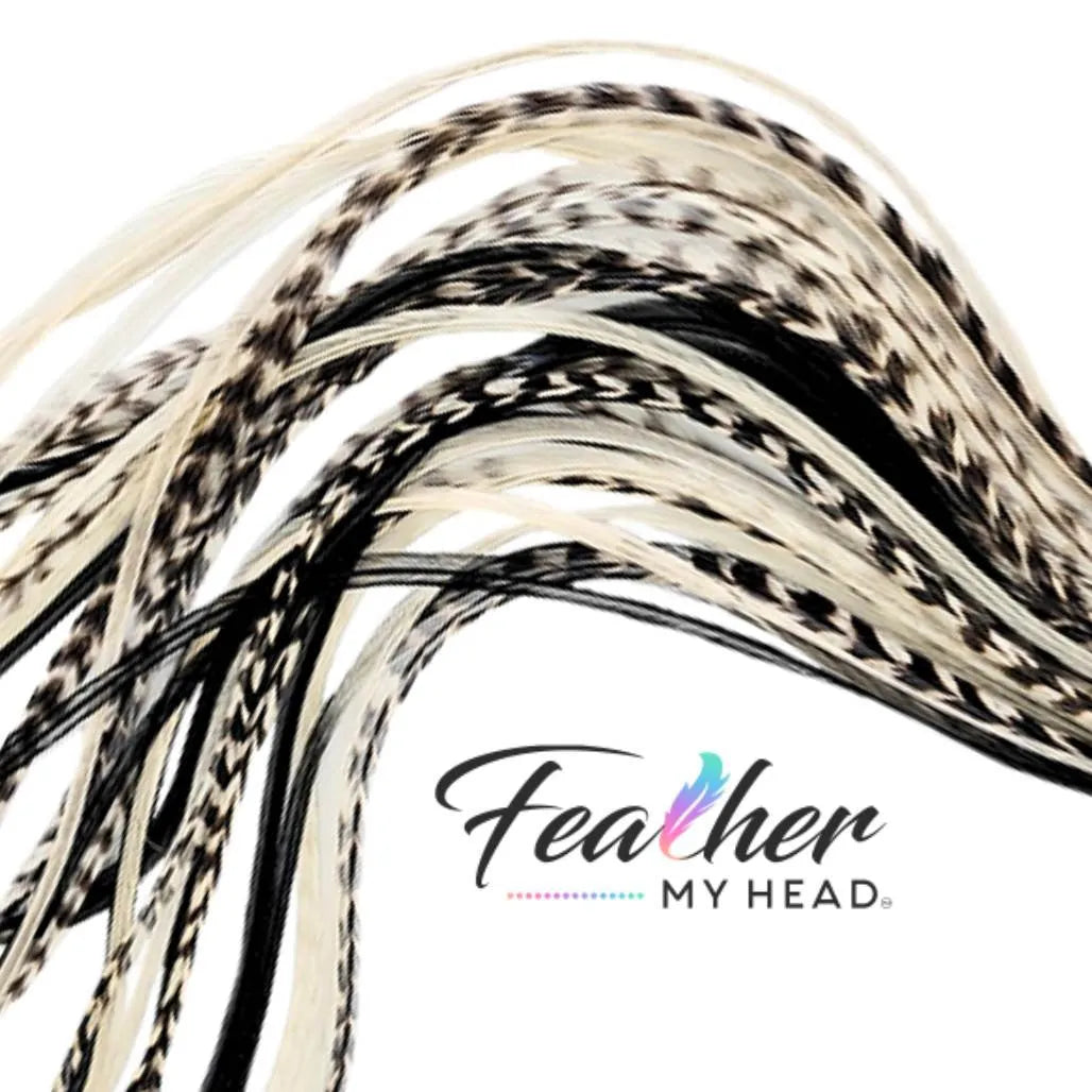 Hair Feather Extension Collection of hair feathers in soft natural earthy shades of black and white grizzly and white-cream colors.

Select your length with hair feathers over 16 inches long. Optional feather kit makes installing your feathers at home a cinch with instructions and photos