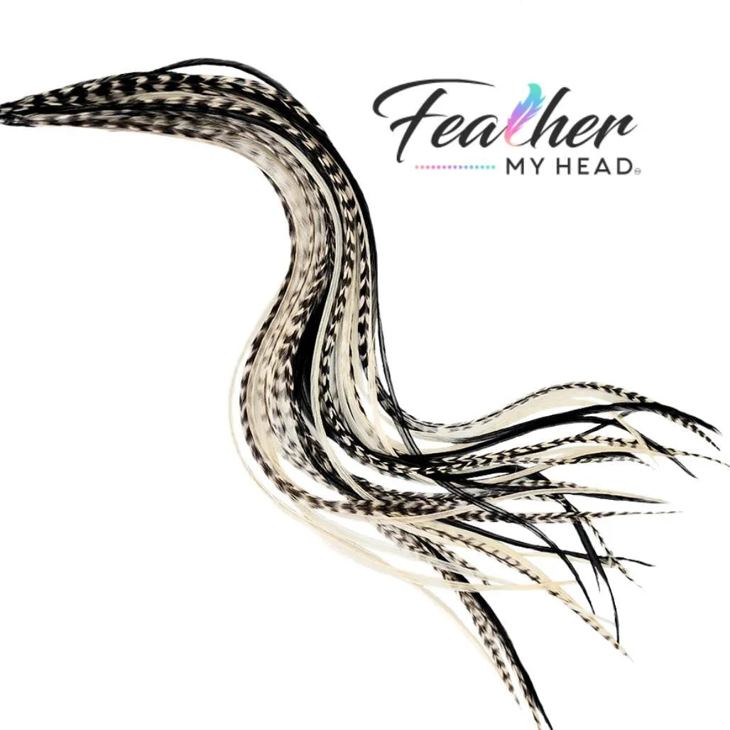 Hair Feather Extension Collection of hair feathers in soft natural earthy shades of black and white grizzly and white-cream colors.

Select your length with hair feathers over 16 inches long. Optional feather kit makes installing your feathers at home a cinch with instructions and photos