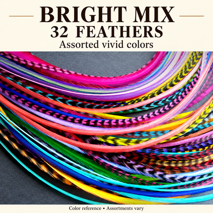 Bright Mix, 32 feathers, assorted vivid colors; color reference, assortments vary