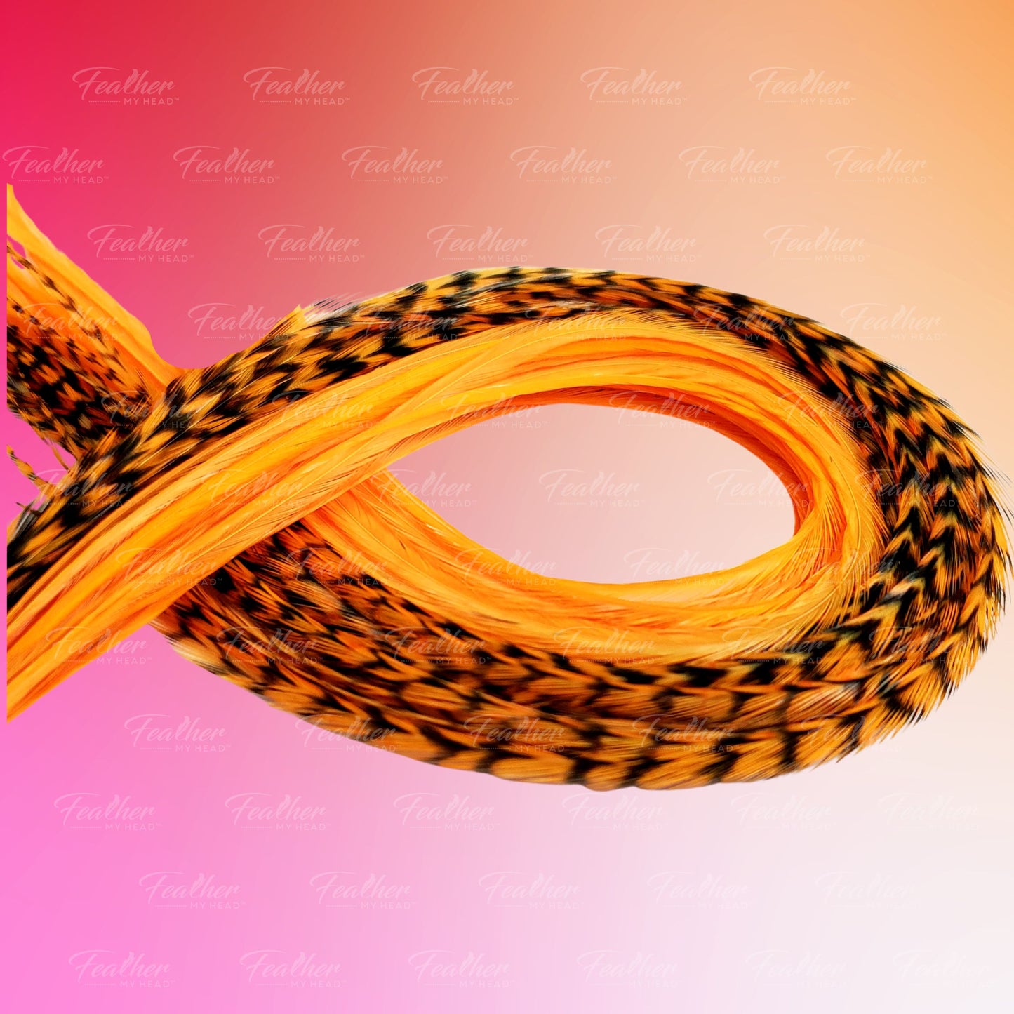 Coiled orange and black rope on a pink background with 'Feather' branding.