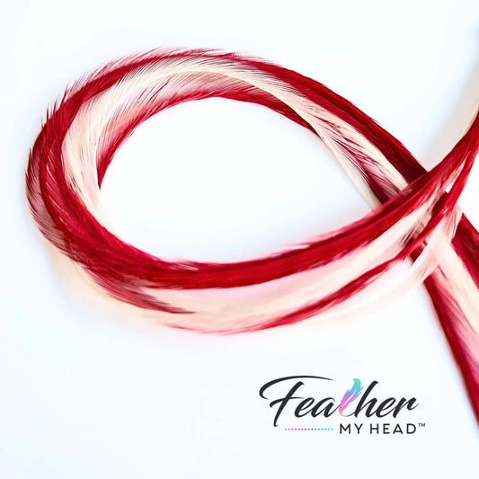Candy Cane Lane Feather Hair Extensions