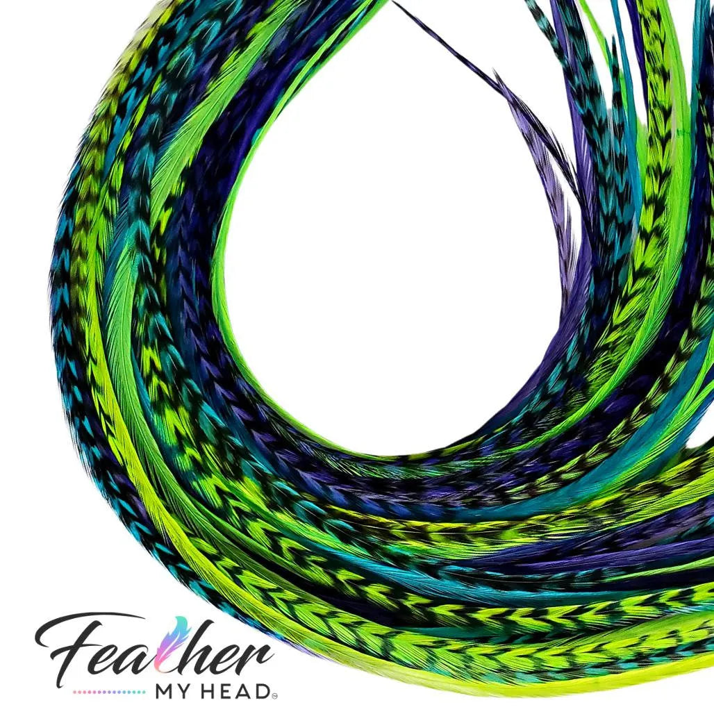 Bulk Feathers in colors of Purple, green, and turquoise blue hair feathers - feather hair extensions for salons and vendors