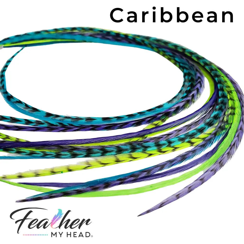 Caribbean Hair Feather Extensions in a mix of purple, turquoise blue and green premium hair feathers. Optional feather kit and long lengths available