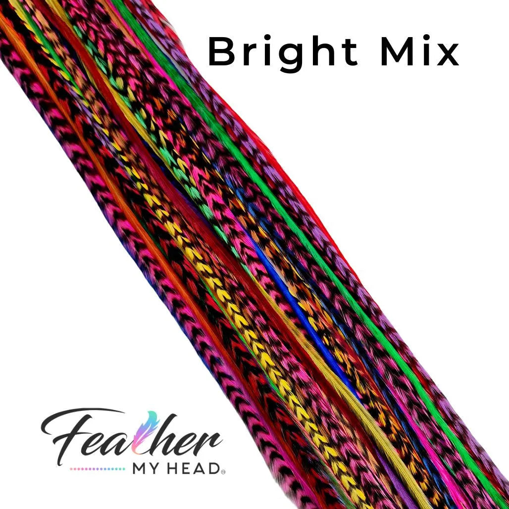 Our collection contains 16 real hair feathers in vibrant colors including pink, purple, blue, green, yellow, red, and orange — all conveniently packaged in one salon bulk pack.
With many lengths to choose from (10 to 12 inches; 12 to 14 inches; 14 to 16 inches; and mega long over 16 inches), our feathers guarantee a perfect fit every time. Plus, they’re premium grade, heat resistant, and have been tested extensively to hold up against curl, flat iron, and blow dry styles. 