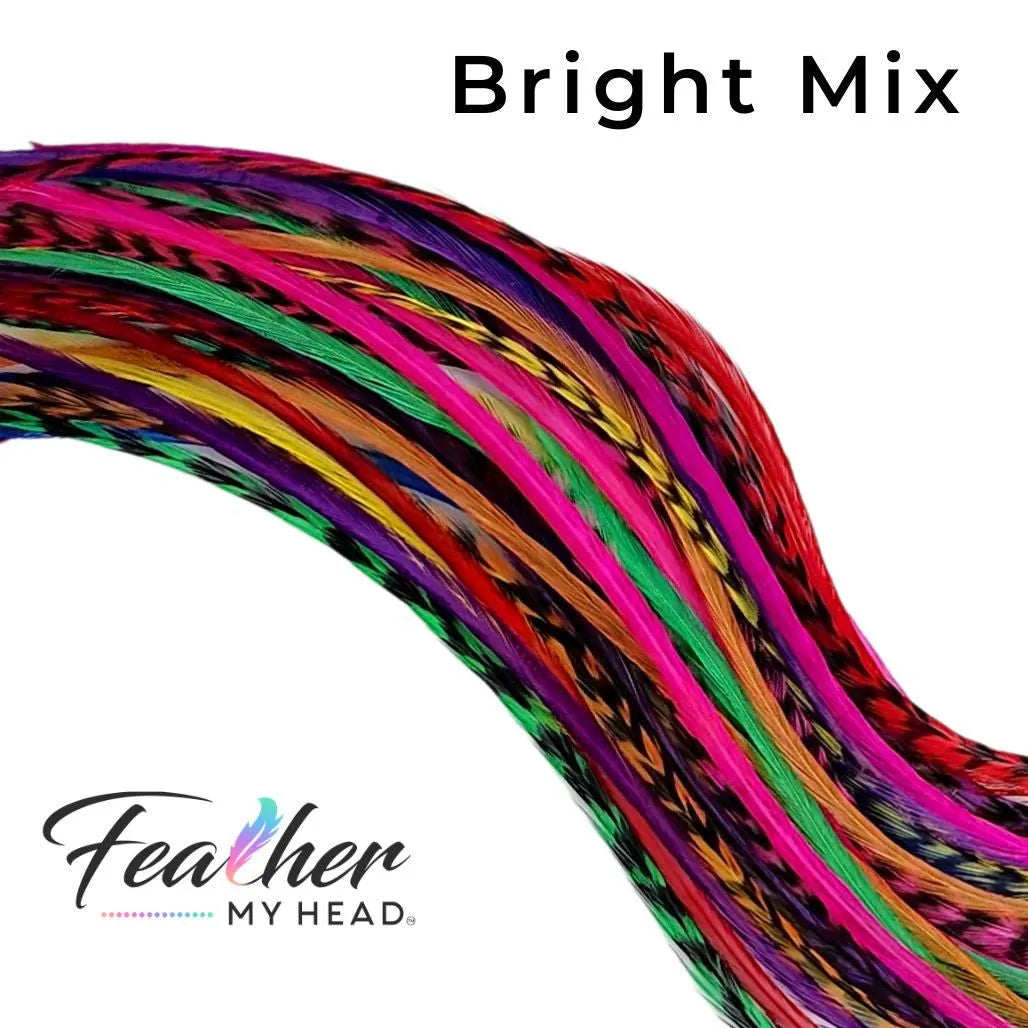 Our collection contains 16 real hair feathers in vibrant colors including pink, purple, blue, green, yellow, red, and orange — all conveniently packaged in one salon bulk pack.
With many lengths to choose from (10 to 12 inches; 12 to 14 inches; 14 to 16 inches; and mega long over 16 inches), our feathers guarantee a perfect fit every time. Plus, they’re premium grade, heat resistant, and have been tested extensively to hold up against curl, flat iron, and blow dry styles. 