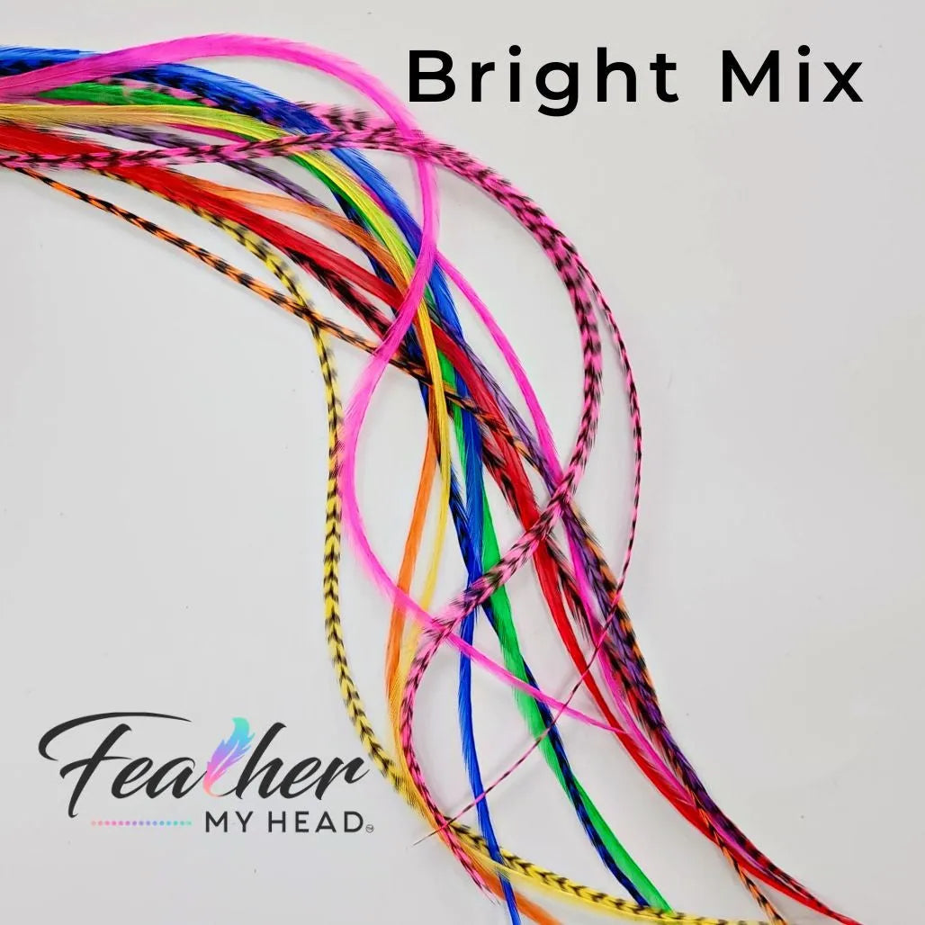 Our collection contains 16 real hair feathers in vibrant colors including pink, purple, blue, green, yellow, red, and orange — all conveniently packaged in one salon bulk pack.
With many lengths to choose from (10 to 12 inches; 12 to 14 inches; 14 to 16 inches; and mega long over 16 inches), our feathers guarantee a perfect fit every time. Plus, they’re premium grade, heat resistant, and have been tested extensively to hold up against curl, flat iron, and blow dry styles. 