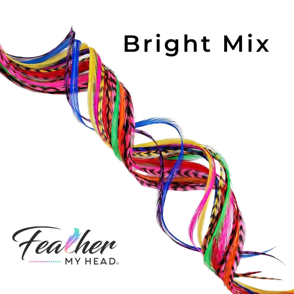 Our collection contains 16 real hair feathers in vibrant colors including pink, purple, blue, green, yellow, red, and orange — all conveniently packaged in one salon bulk pack.
With many lengths to choose from (10 to 12 inches; 12 to 14 inches; 14 to 16 inches; and mega long over 16 inches), our feathers guarantee a perfect fit every time. Plus, they’re premium grade, heat resistant, and have been tested extensively to hold up against curl, flat iron, and blow dry styles. 