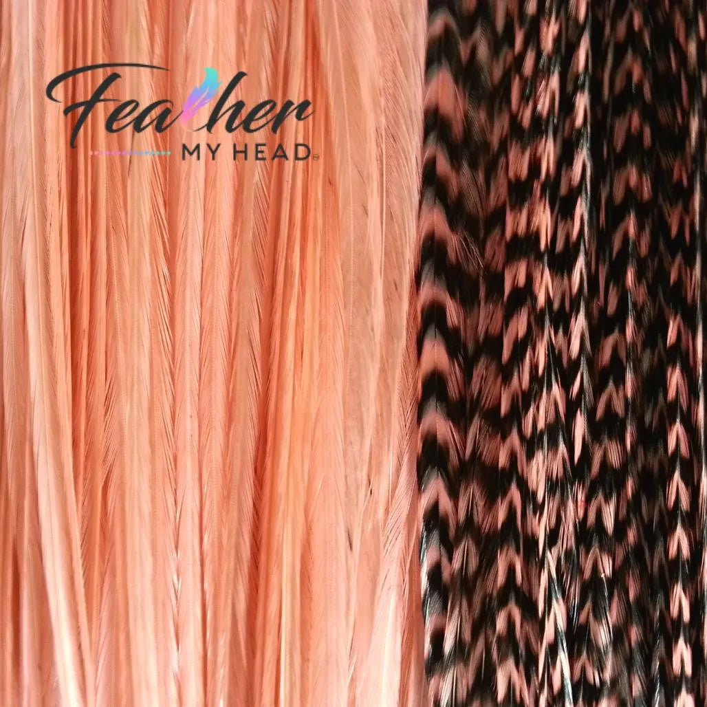 Coral hair feather extensions