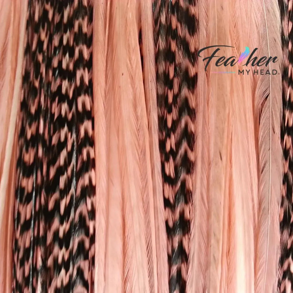 Coral hair feather extensions