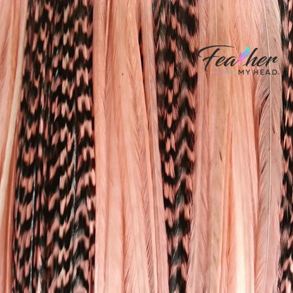 Coral hair feather extensions