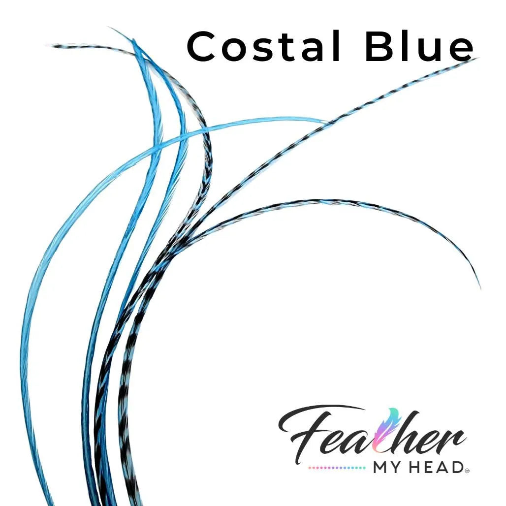 Costal Blue Hair Feather Extensions