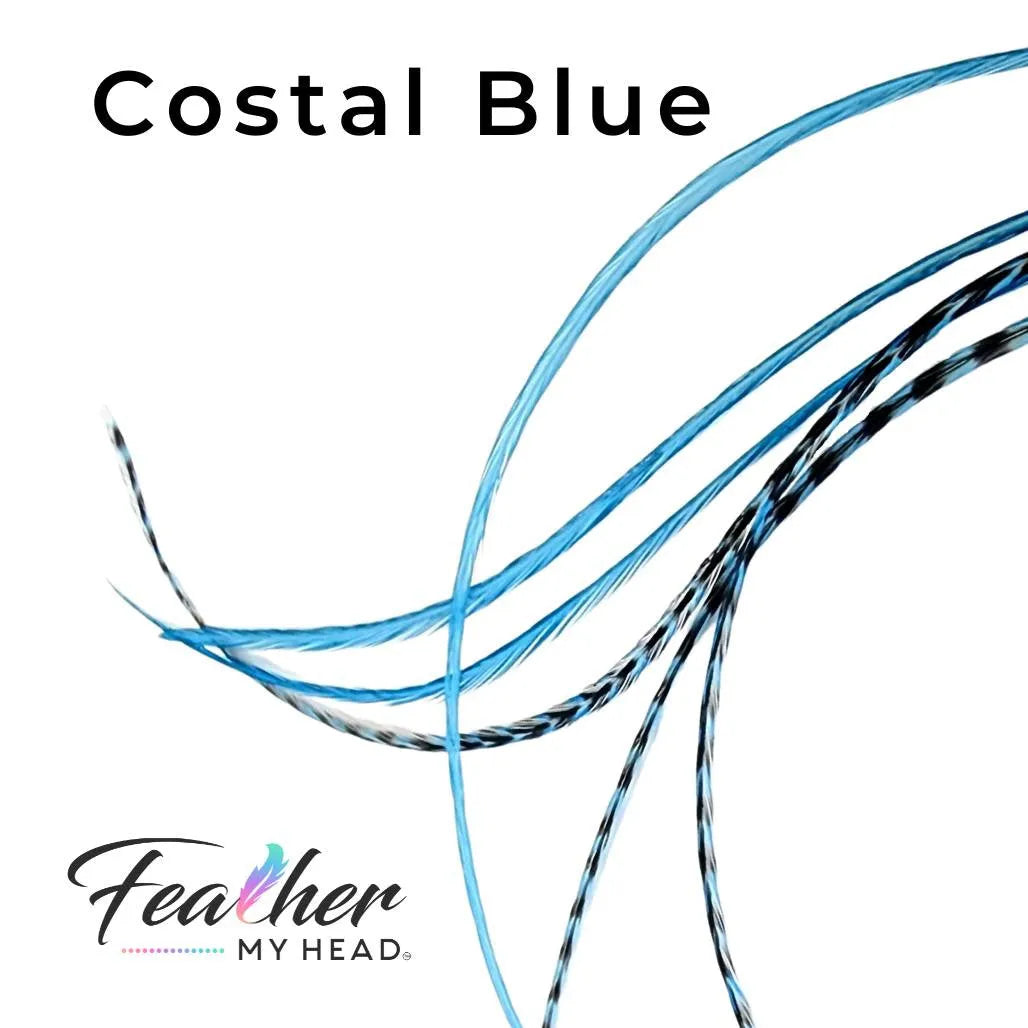 Costal Blue Hair Feather Extensions