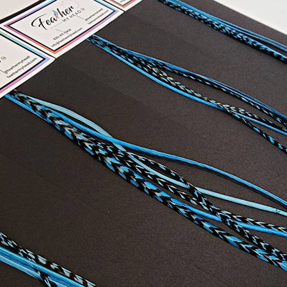 Costal Blue Hair Feather Extensions