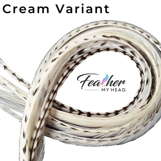 Cream Variant Hair Feathers are natural feathers that will widely vary in color and markings on each feather. No two feathers will be the same. This color is used often in our natural mix collections. Color pairs well with other natural feathers for a soft natural look. 
