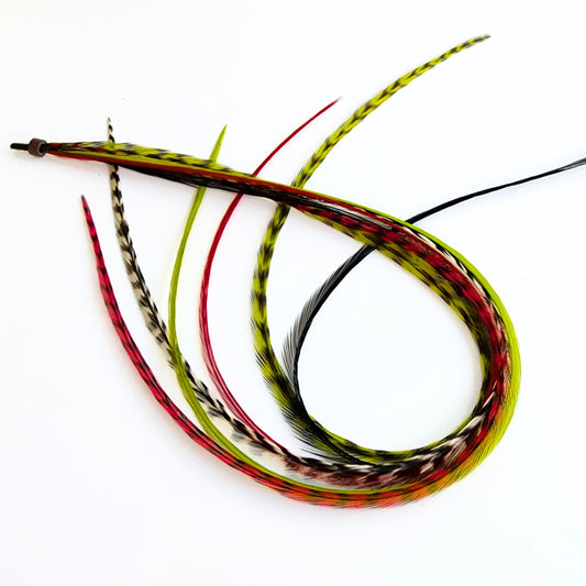 Don't Be a Grinch holiday rooster feather hair extensions in red, green, and black