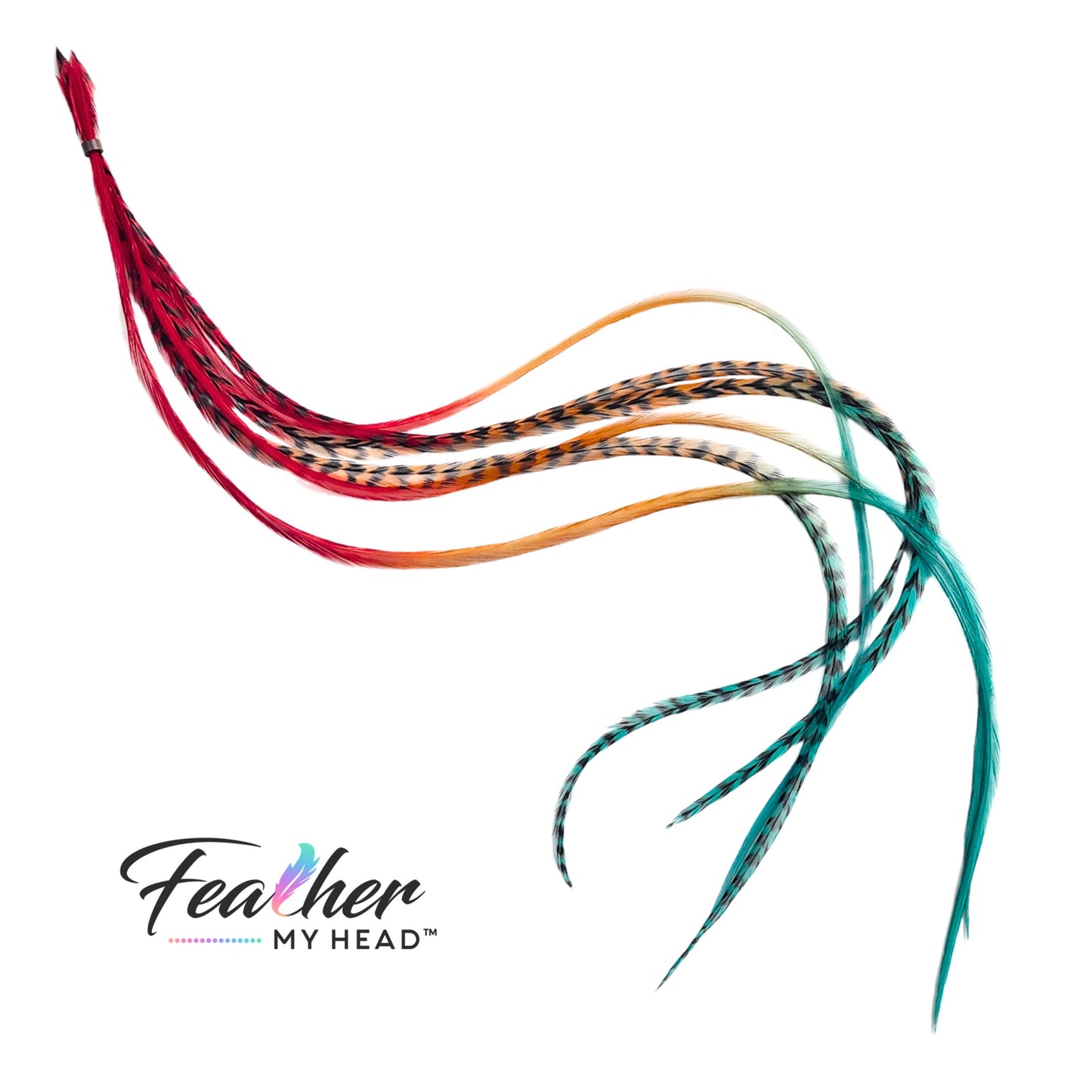 Durango feather hair extensions in an airy fan arrangement showing earthy rainbow tones and black grizzly pattern