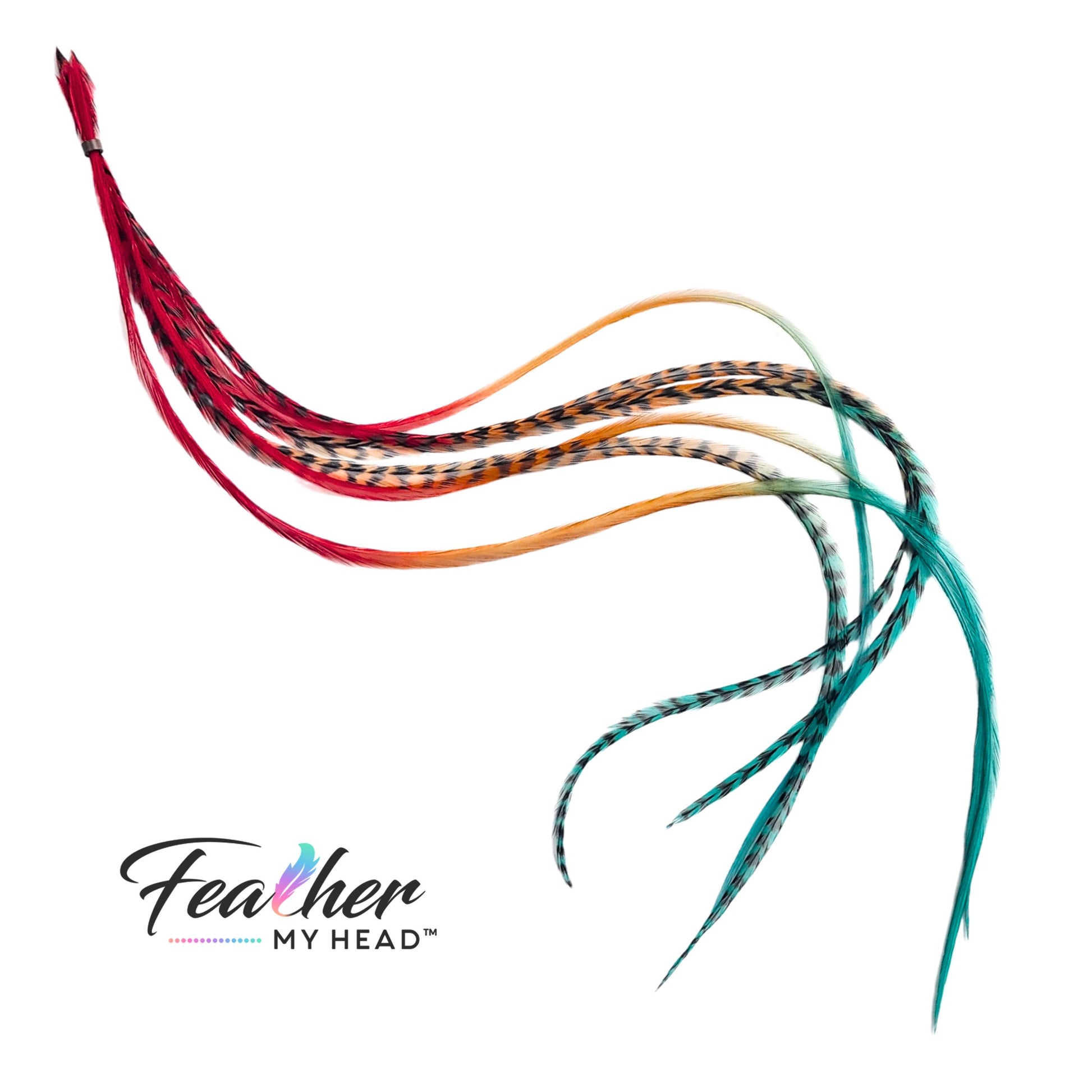 Durango feather hair extensions in an airy fan arrangement showing earthy rainbow tones and black grizzly pattern