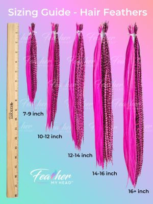 feather hair extension length guide showing 7-9 inch, 10-12 inch, 12-14 inch, 14-16 inch and 16+ inch rooster feather hair extensions