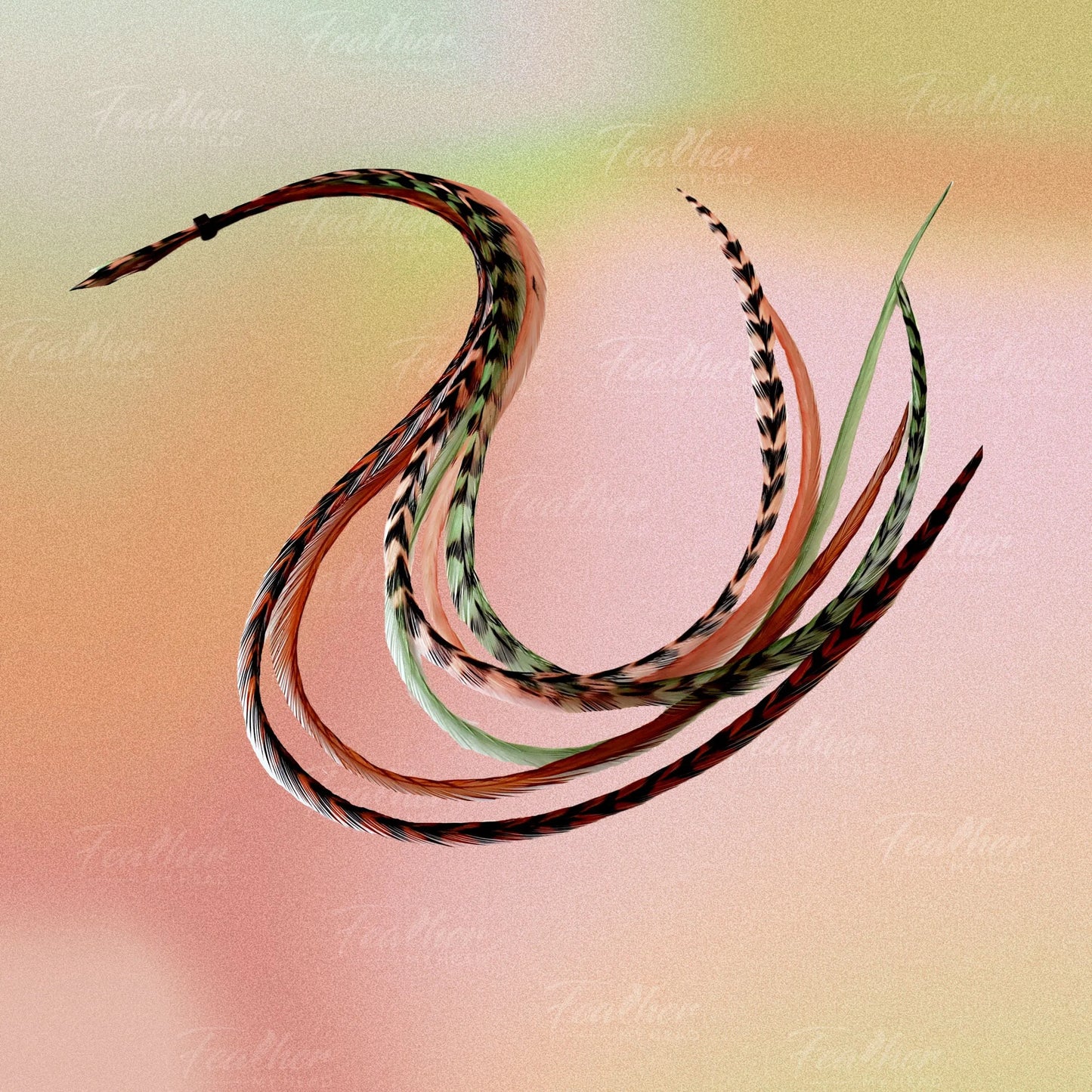 Sage and Spice Hair Feather Extensions - Bundle