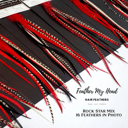 Feather hair extensions kit by Feather My Head.  Real Feathers in black white and red feathers.