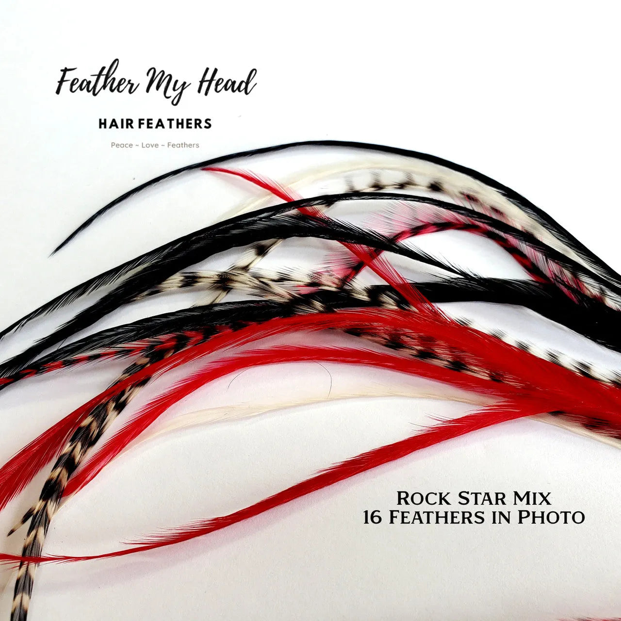 Feather hair extensions kit by Feather My Head.  Real Feathers in black white and red feathers.