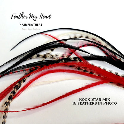 Feather hair extensions kit by Feather My Head.  Real Feathers in black white and red feathers.