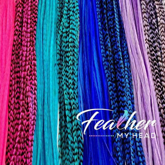 Feather My Head Hair Feathers in colors of pink, blue, purple and aqua