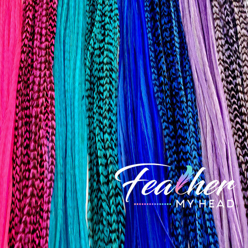 Blue, Aqua, Pink and Purple - Bundle