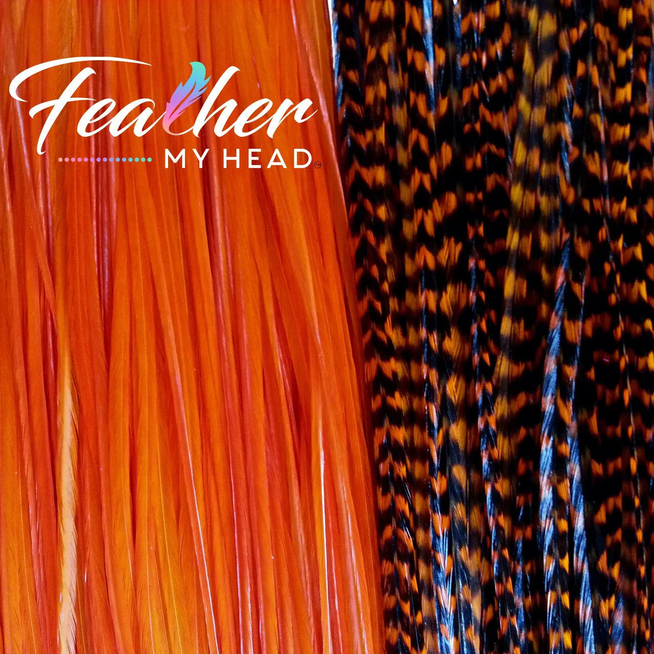 Feather My Head hair feathers dyed a sapphire orange color