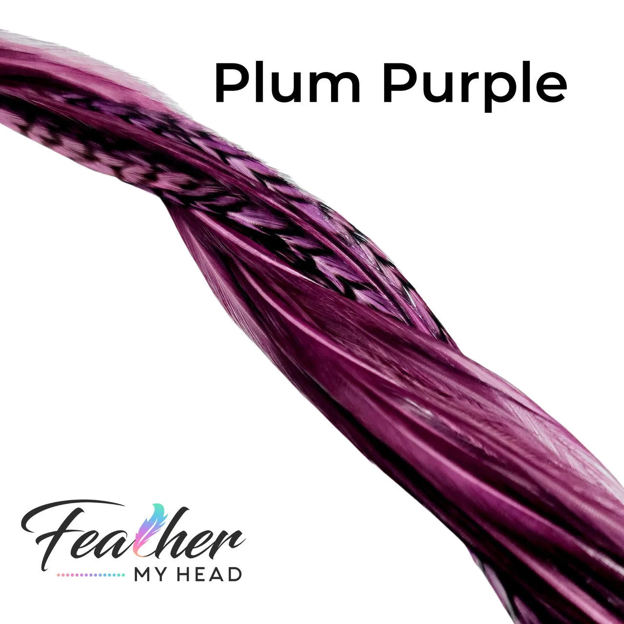 Feather My Head Plum Purple hair Feathers