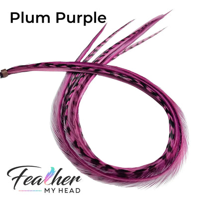 Feather My Head Plum Purple hair Feathers