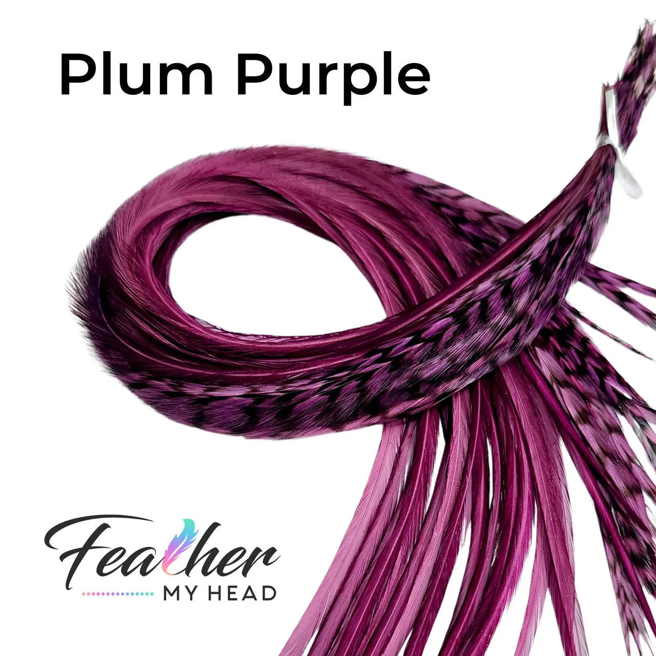 Feather My Head Plum Purple hair Feathers
