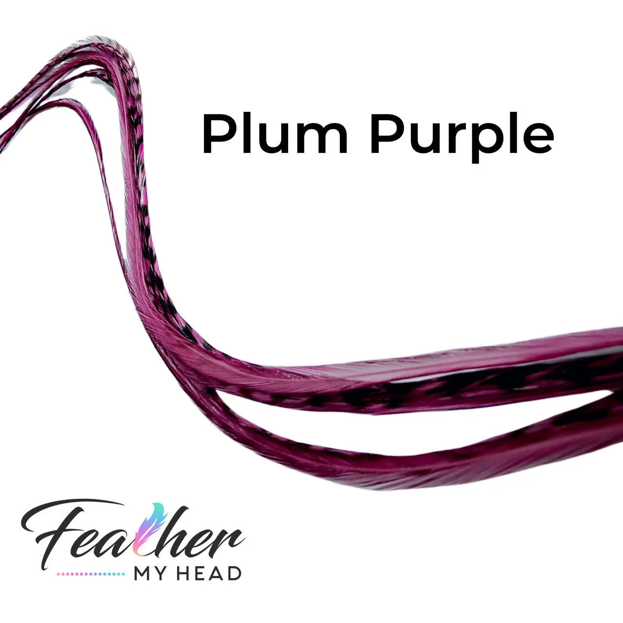 Feather My Head Plum Purple hair Feathers