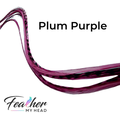Feather My Head Plum Purple hair Feathers