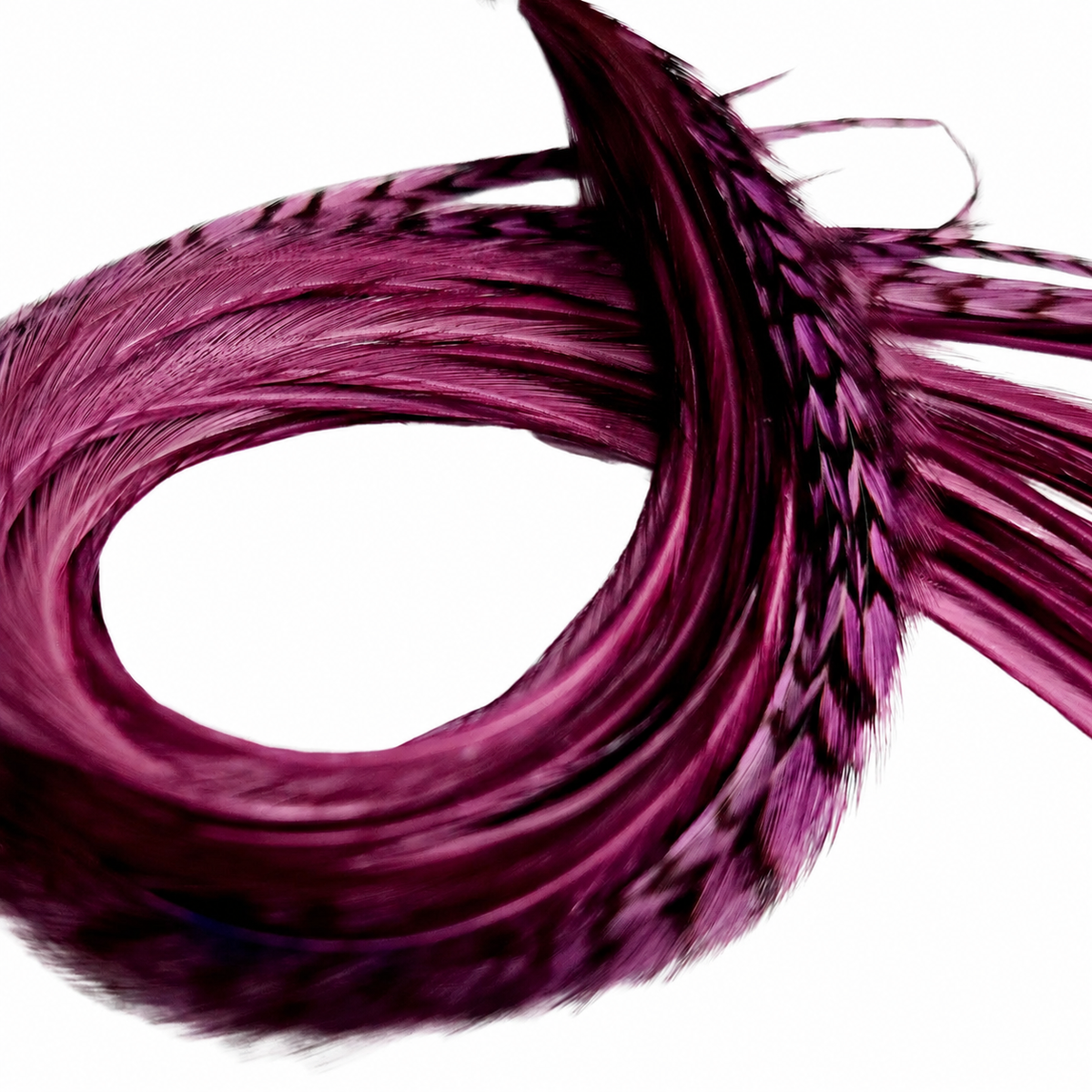 Plum Purple Hair Feather