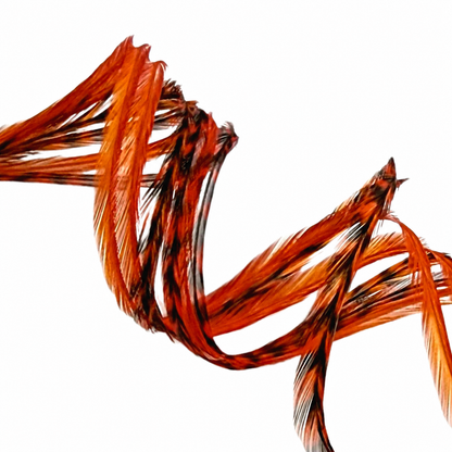 Sapphire Orange Feather Hair Extensions