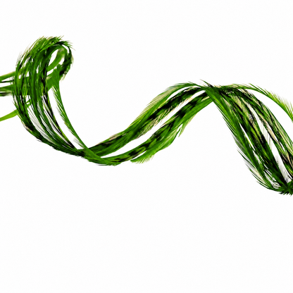 Kiwi Green Hair Feather